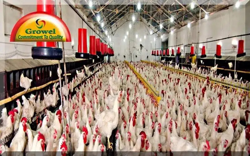 Poultry-Housing