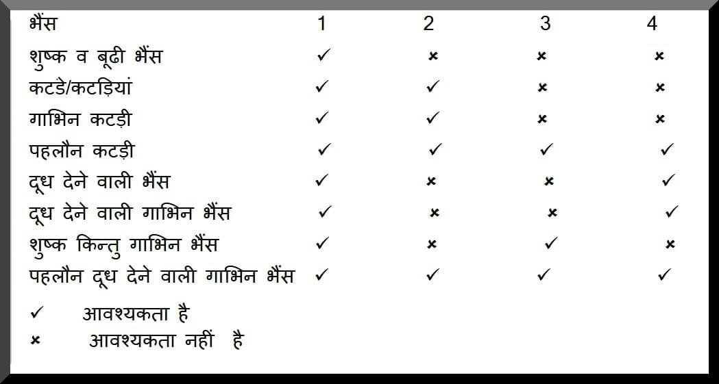 भैंश पालन लाभकारी
