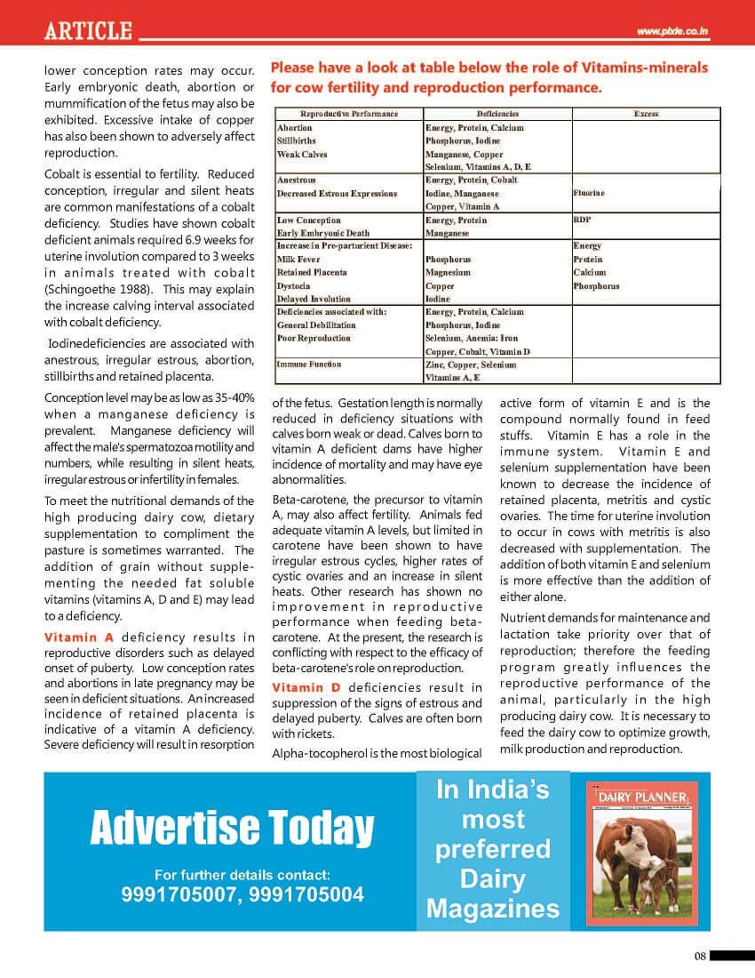 Vitamins & Minerals for Cow Fertility