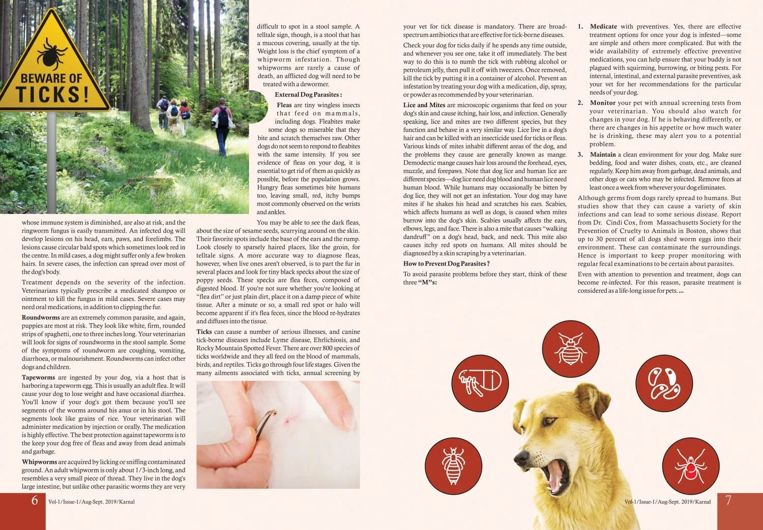 All About Parasites in Dogs