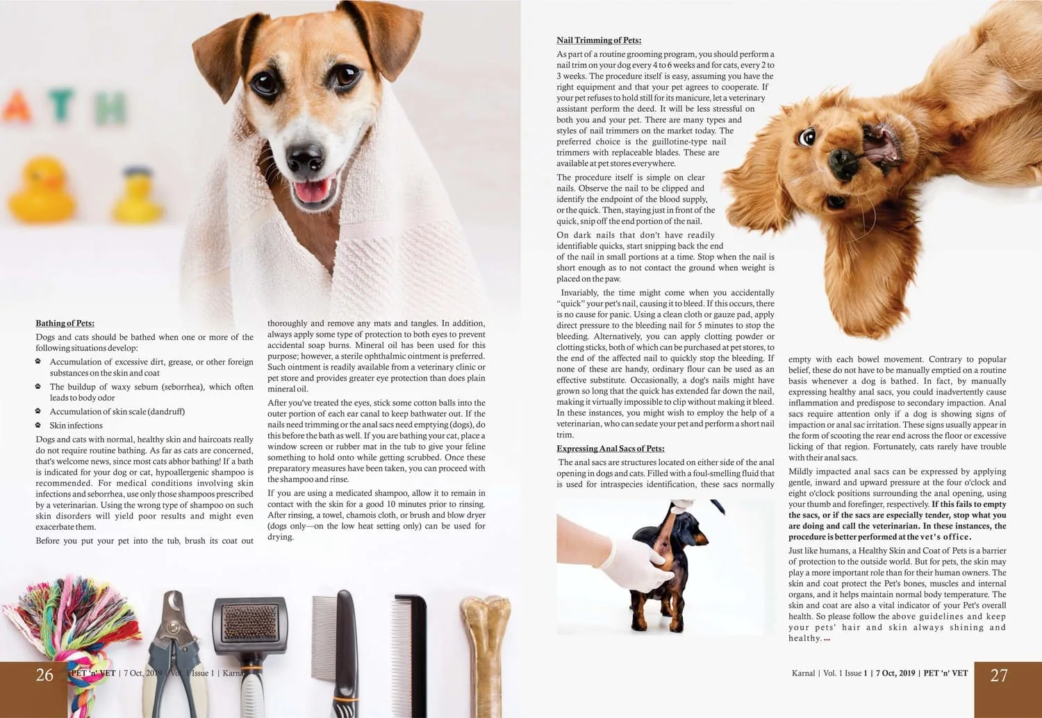 How To Keep Healthy Skin & Coat of Pets