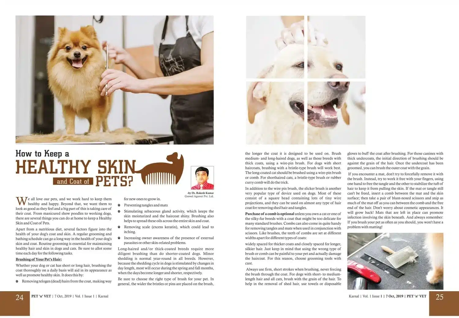 How-To-Keep-Healthy-Skin-Coat-of-Pets