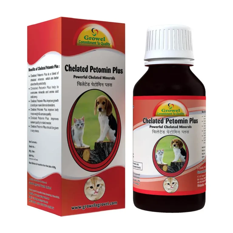 Chealted-Petomin-1