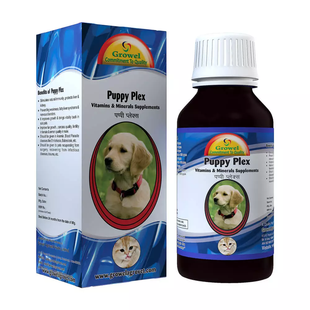 Puppy_Plex-1