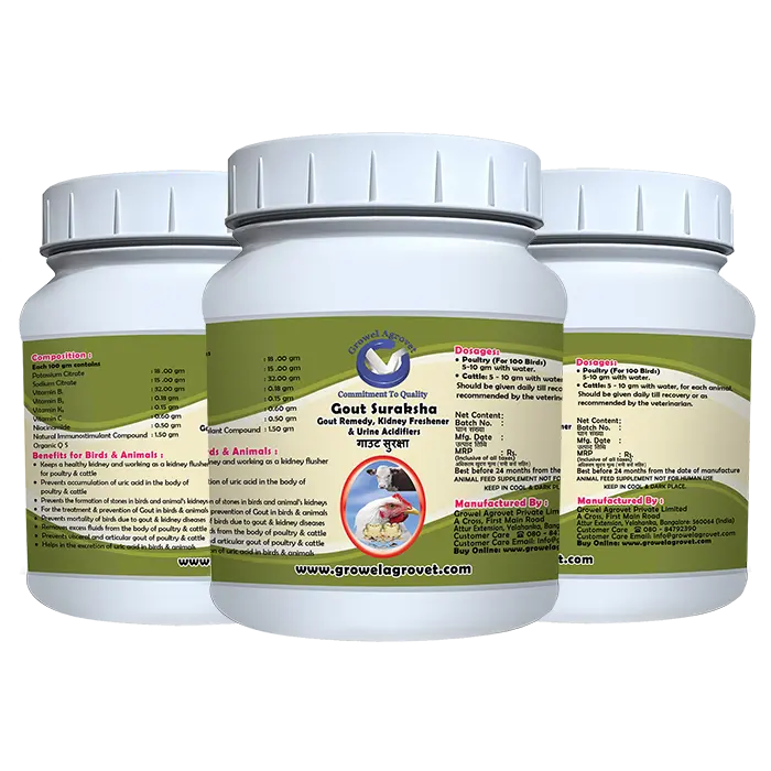 gout-suraksha